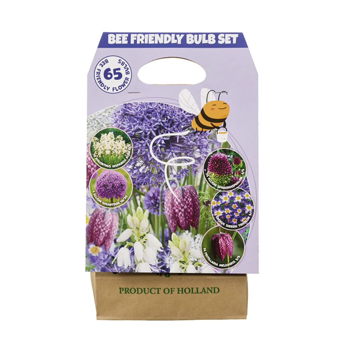 Blumenzwiebel-Set Happy Bee Purpur-Violett