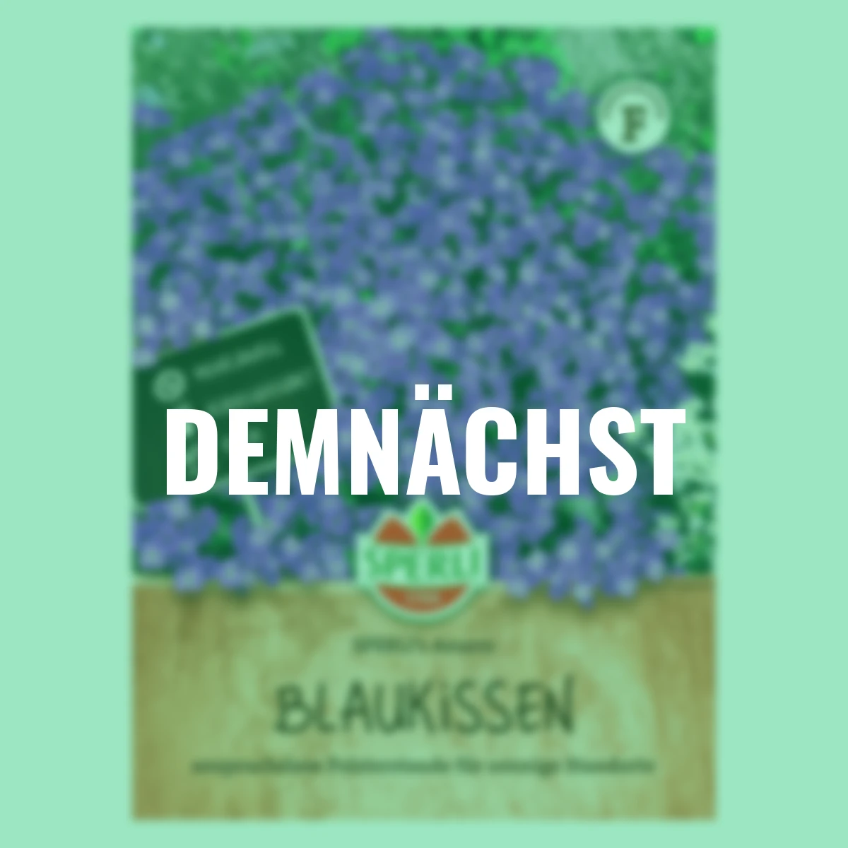 Blaukissensamen SPERLI's Azurro