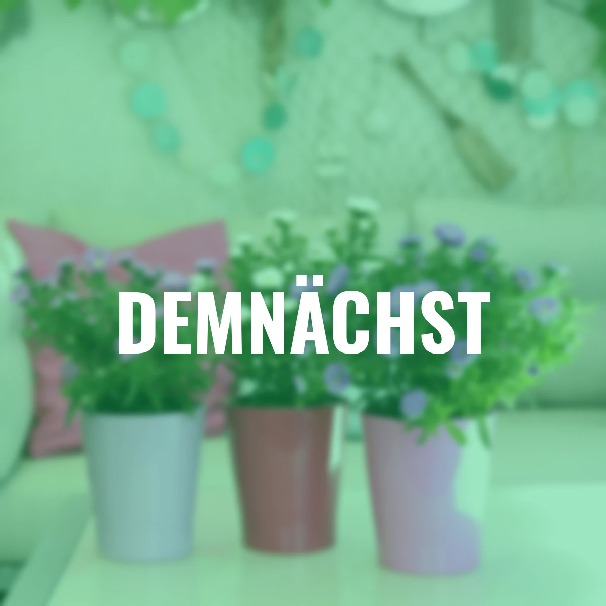 Astern-Set Summerjam