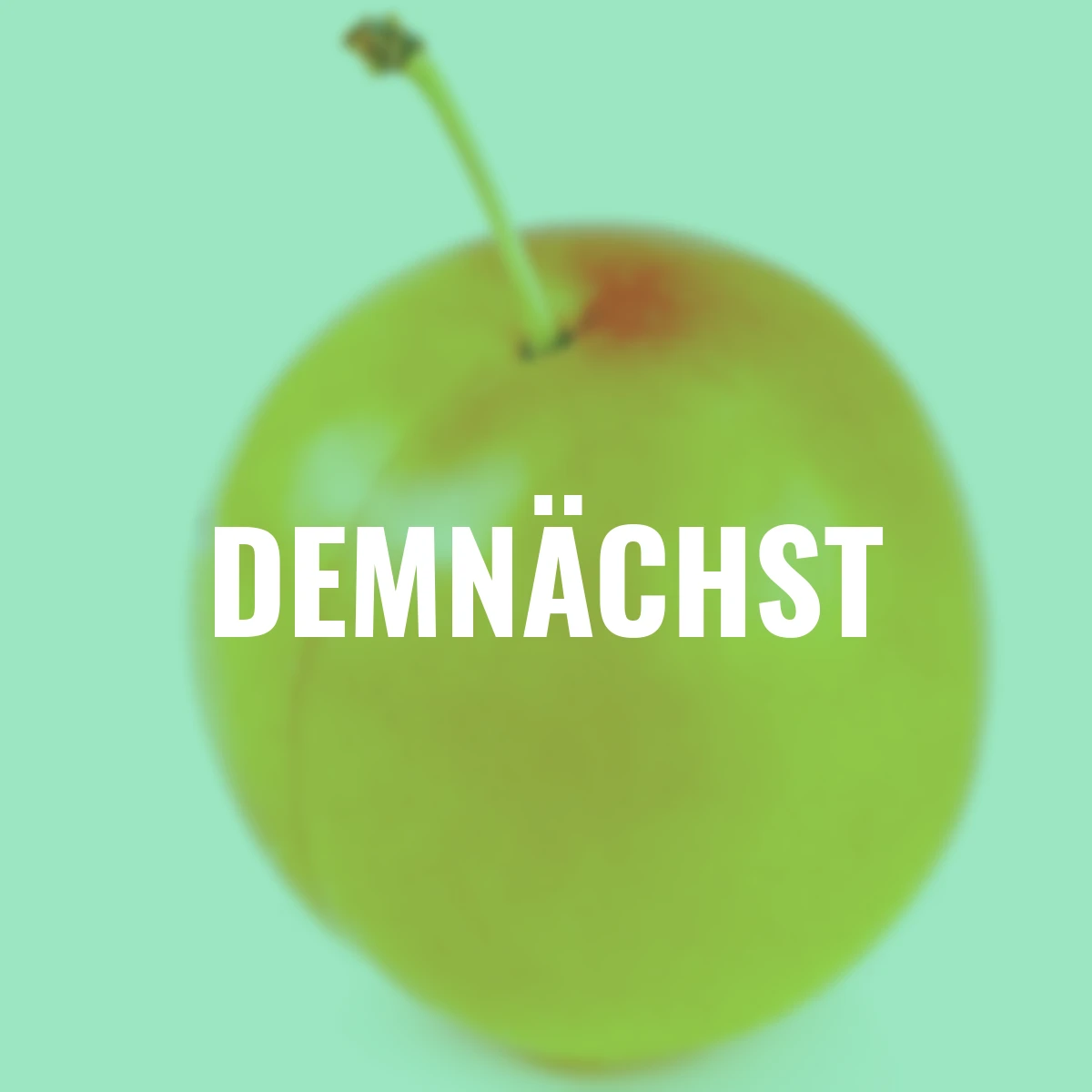 Säulen-Mirabelle Mirastolz