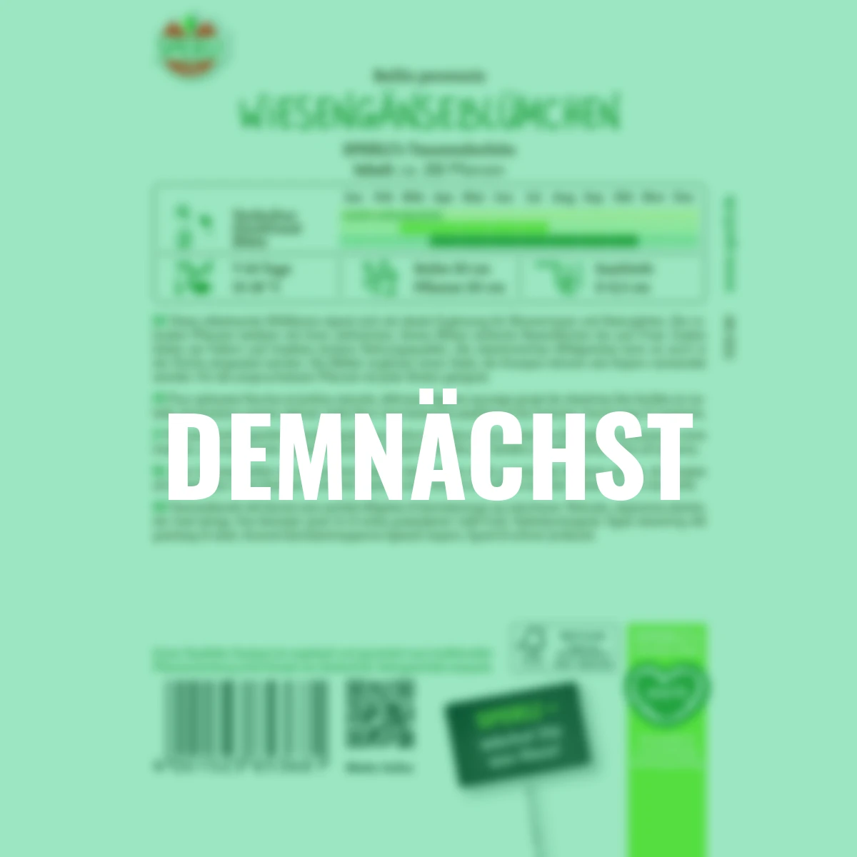 Wiesengänseblümchensamen SPERLI's Tausendschön