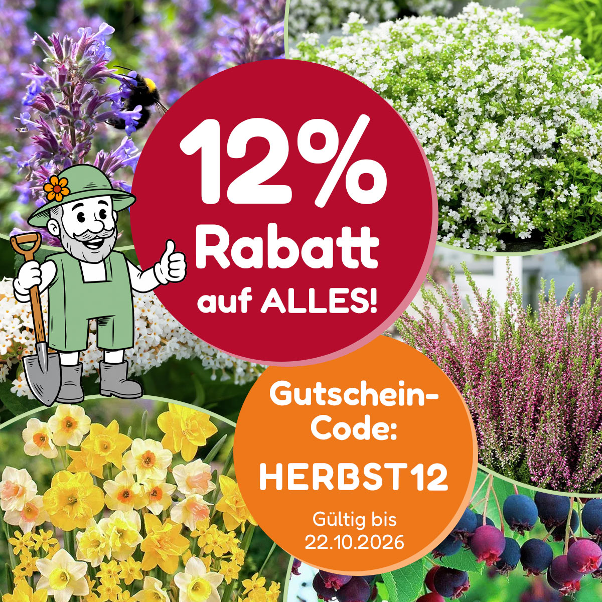Herbstpflanzen
