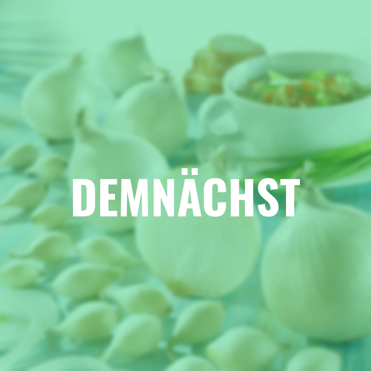 Wintersteckzwiebeln Snowball, 250 g