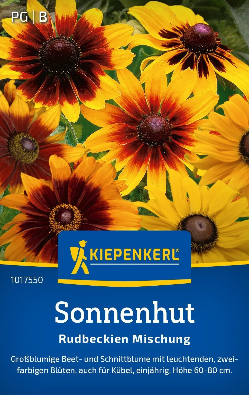 Sonnenhut