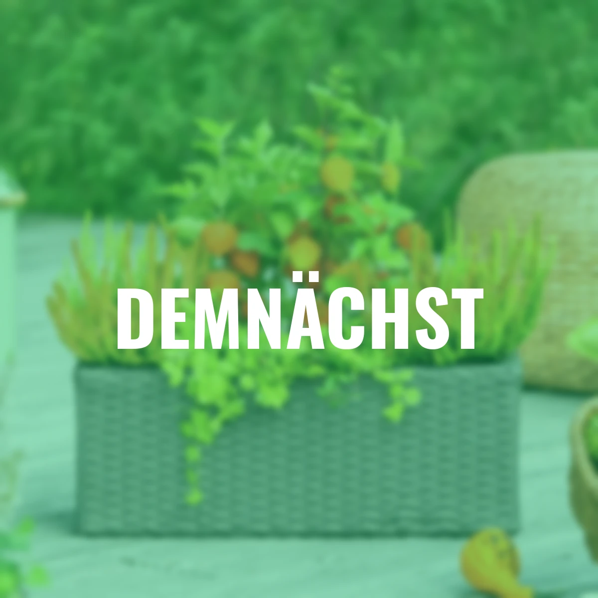 Set Herbtsfeuer-Ensemble