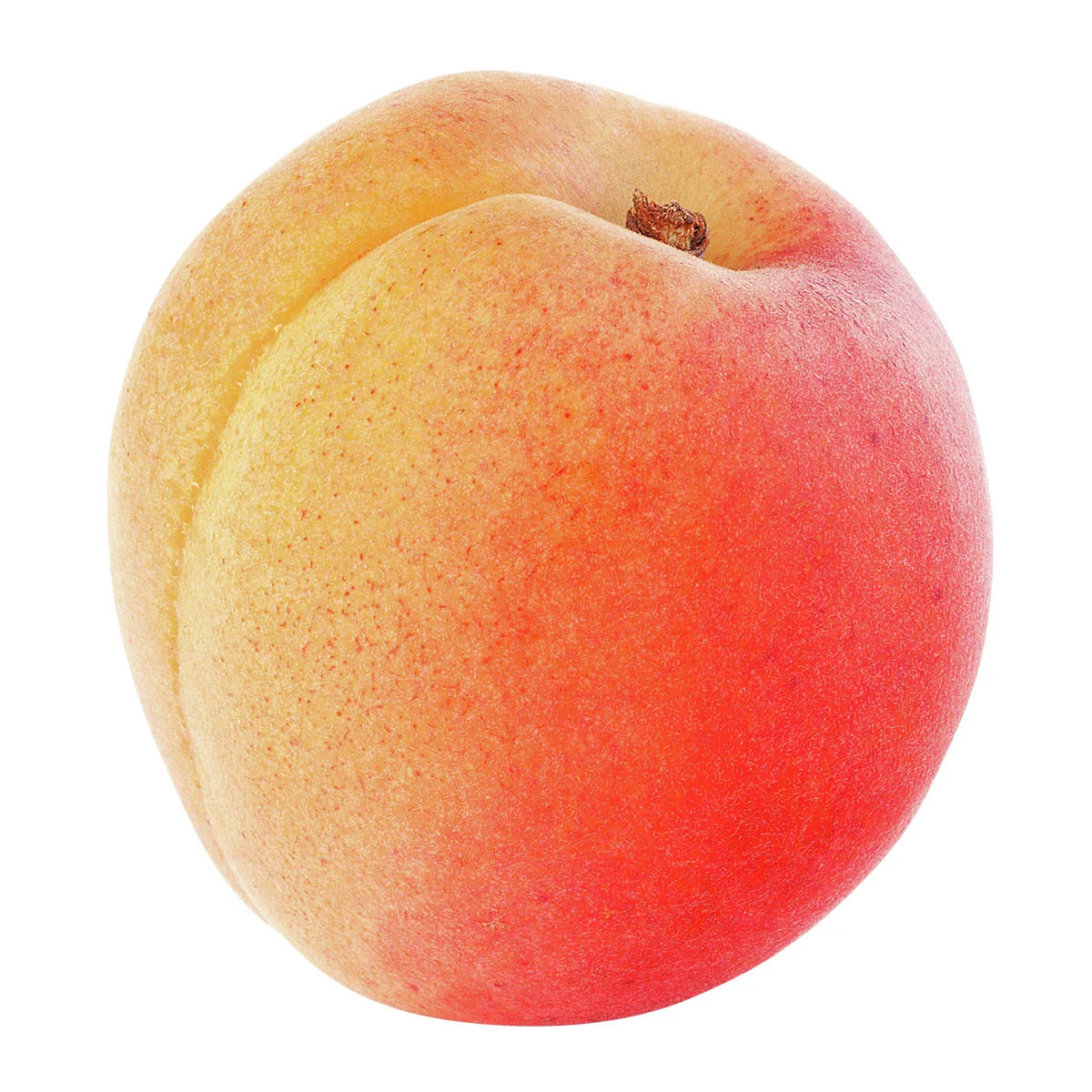 Zwergobst Aprikose Orange Beauty