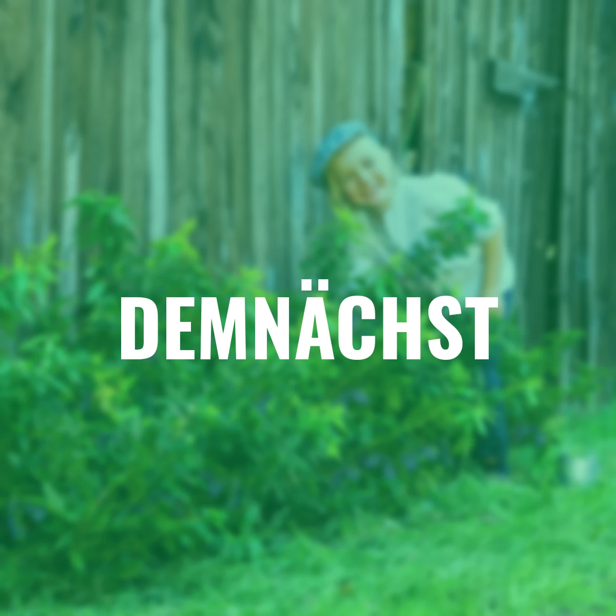 Vier-Monats-Heidelbeere Lucky Berry®