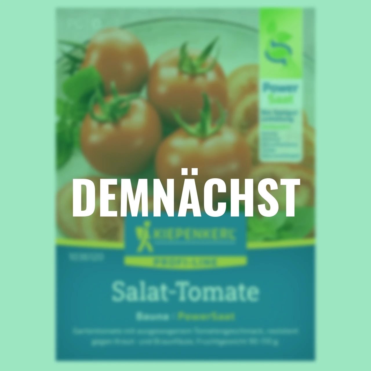 Salat-Tomate Bauna F1 PowerSaat