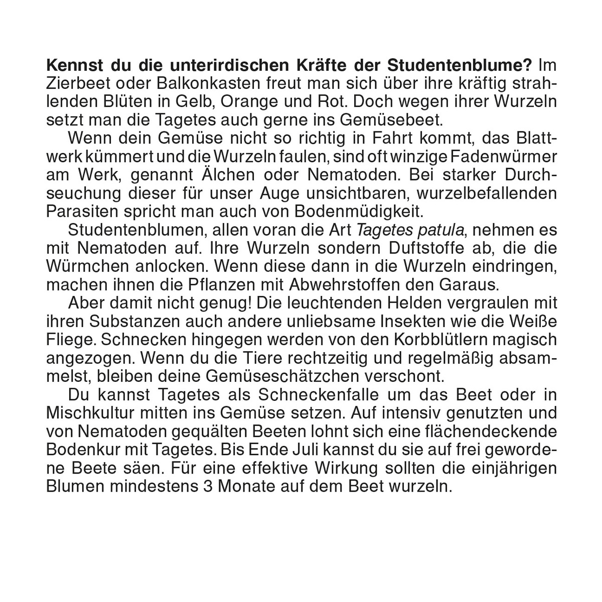 Abreißkalender Der große Grüne Wink® 2027