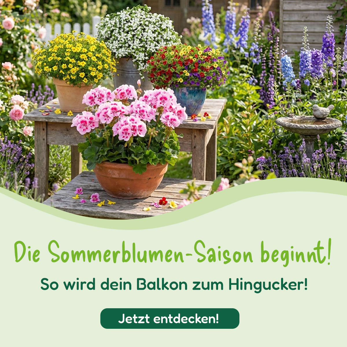 Sommerblumen