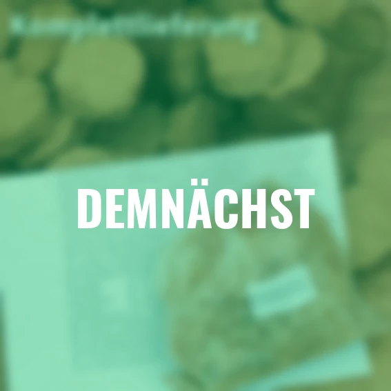 Pilzkultur-Set Braunkappe