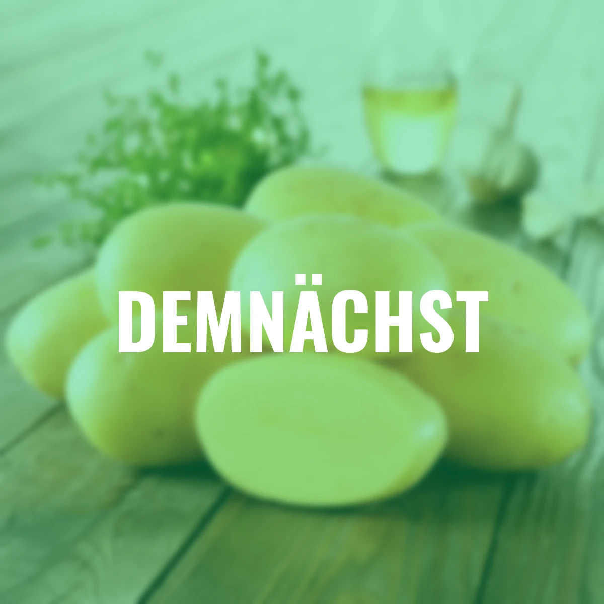 Kartoffel Agria, 10 Stück