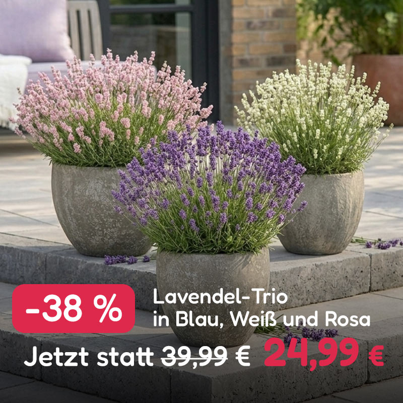 Gratis-Aktion