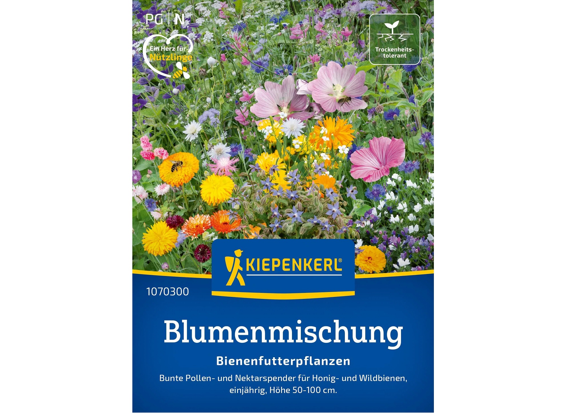 Blumenmischung einjähriger Arten