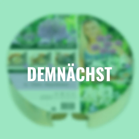 Pflanz-Tray Zierlauch