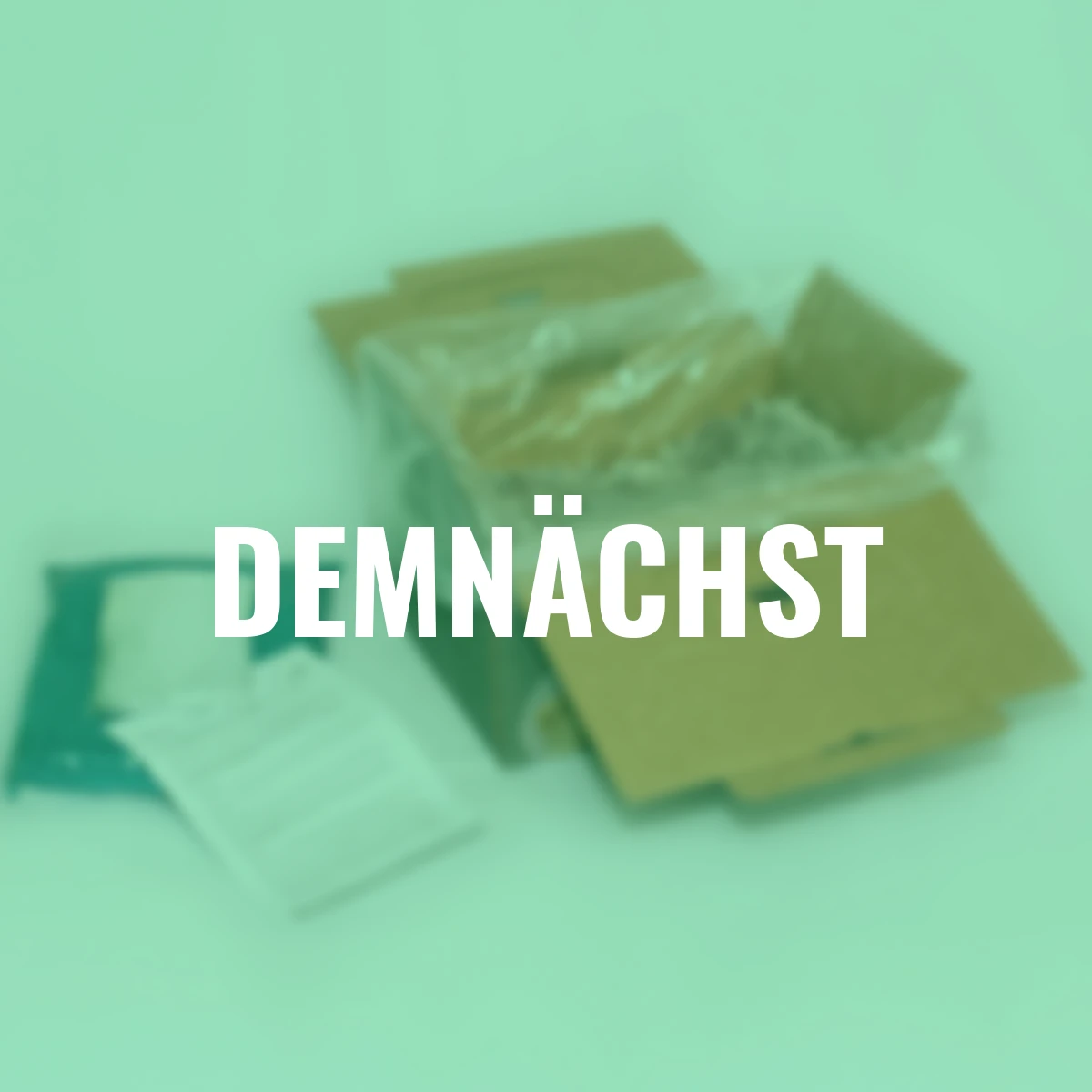 Pilzkultur-Set Steinchampignon