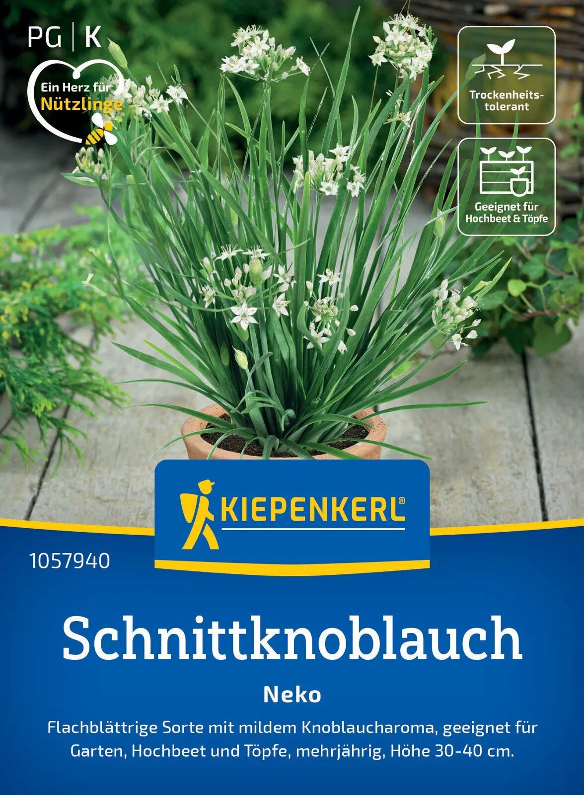 Schnitt-Knoblauch Neko