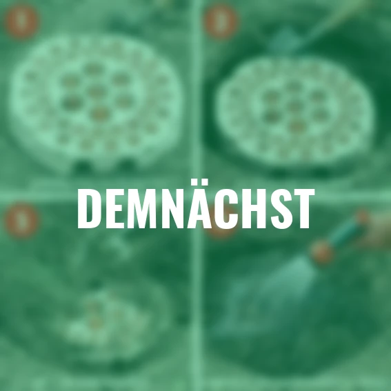 Pflanz-Tray Zierlauch