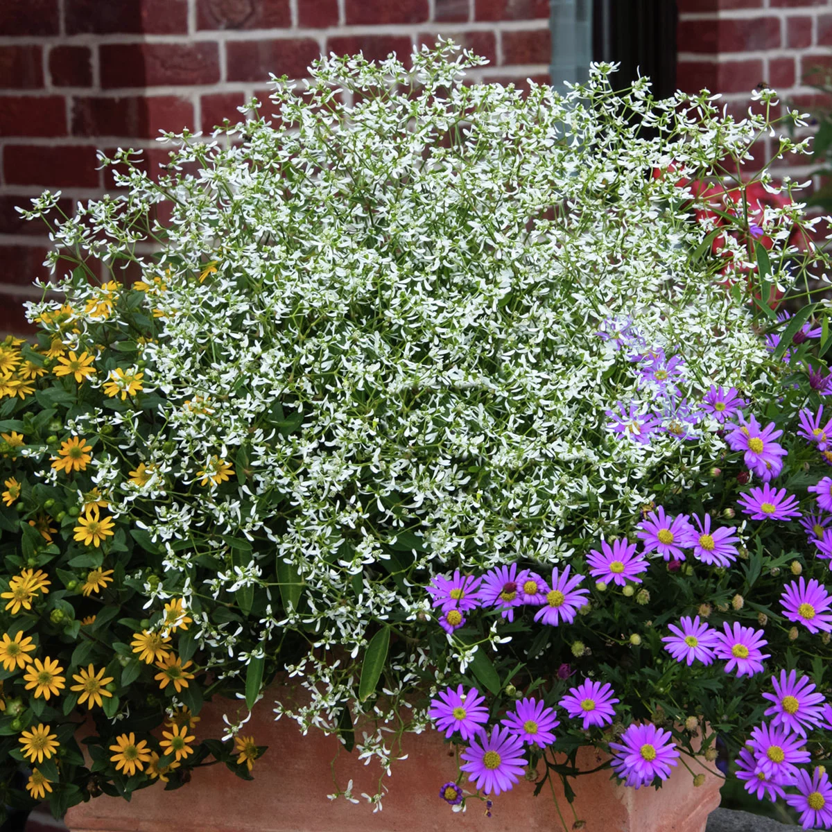 Zauberschnee Diamond Frost™