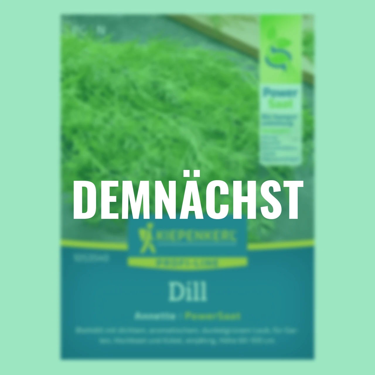 Dill Annette PowerSaat