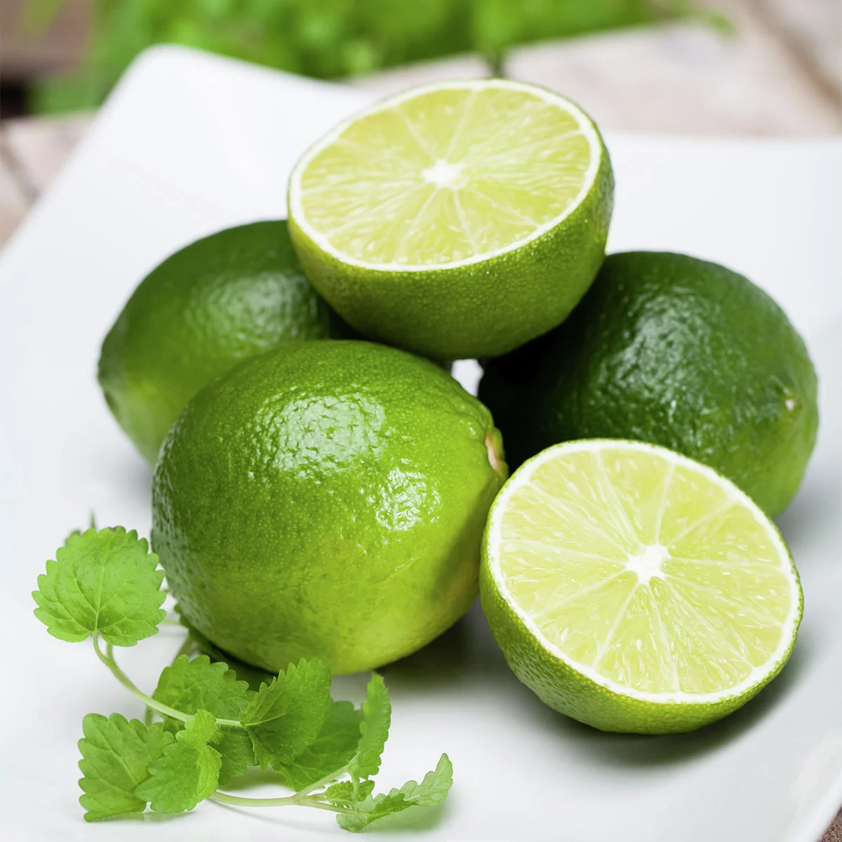 Grüner Limetten-Stamm, im ca. 23 cm-Topf