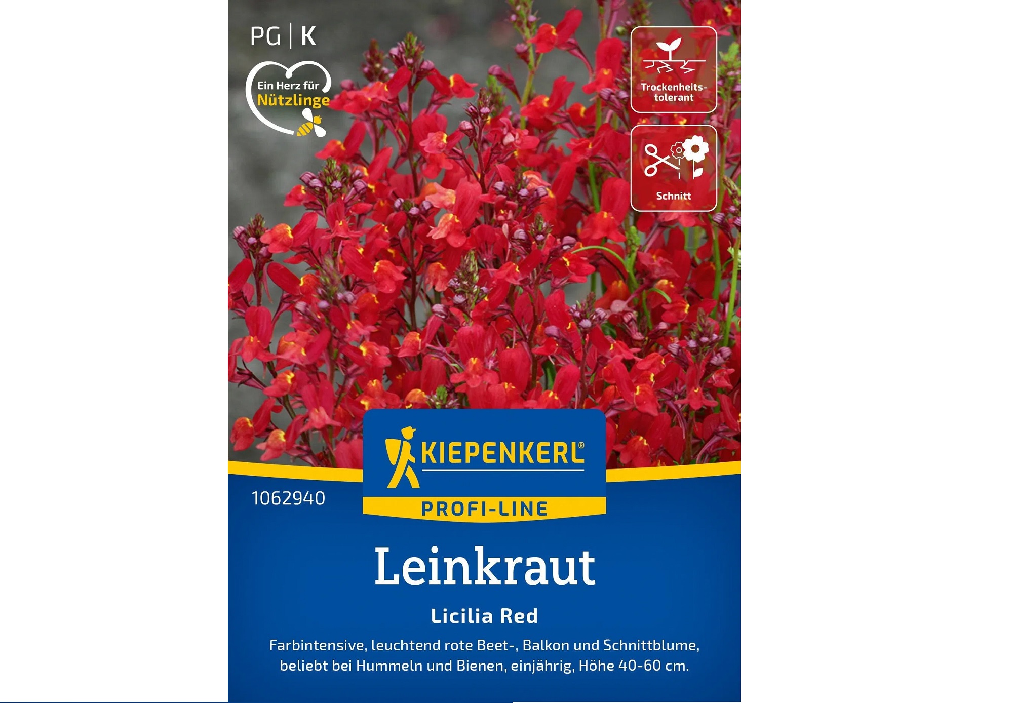 Leinkraut Licilia Red