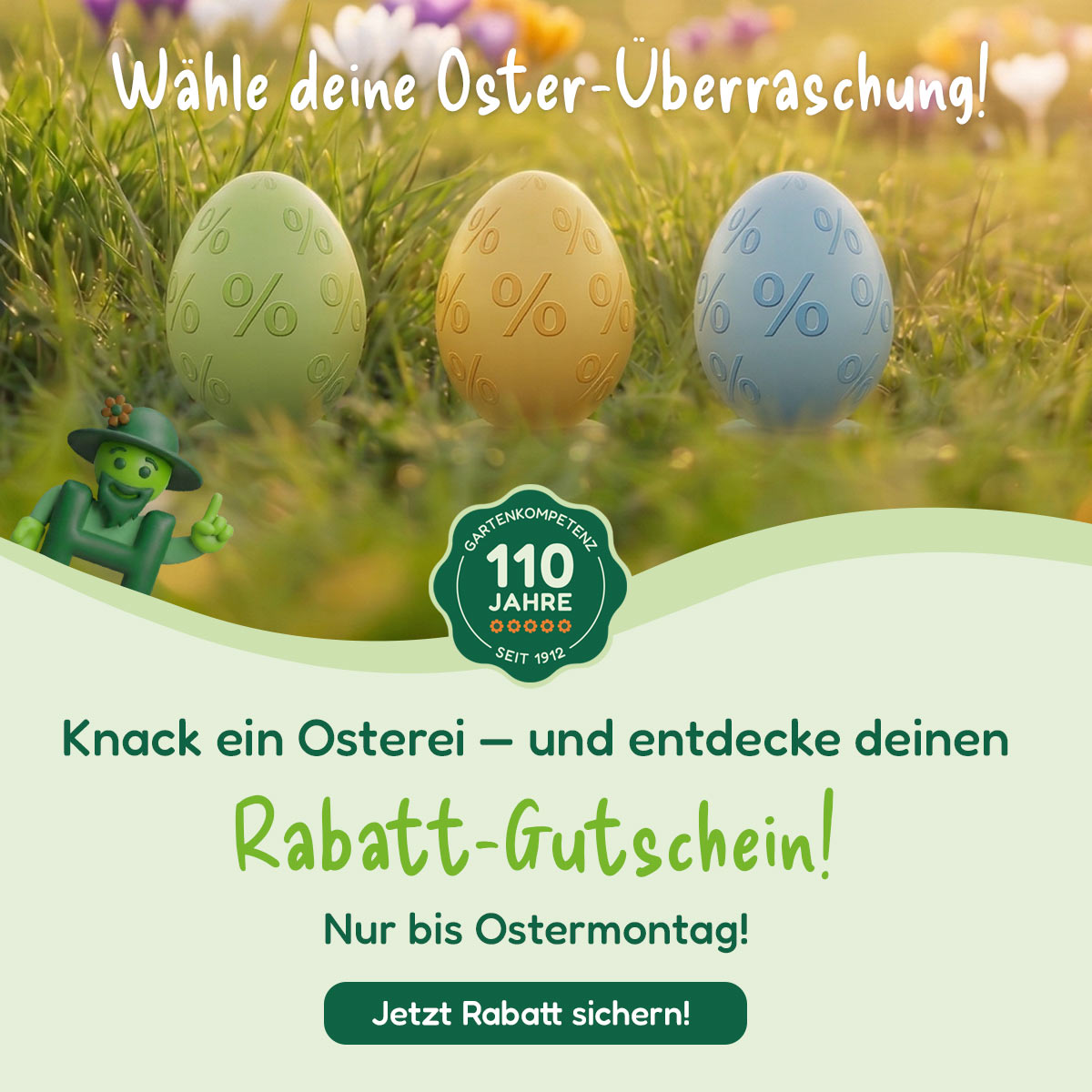 Gärtner Harry – Lilly Rose Aktion