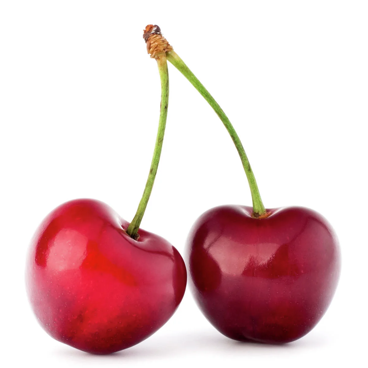 Säulen-Süßkirsche Victoria