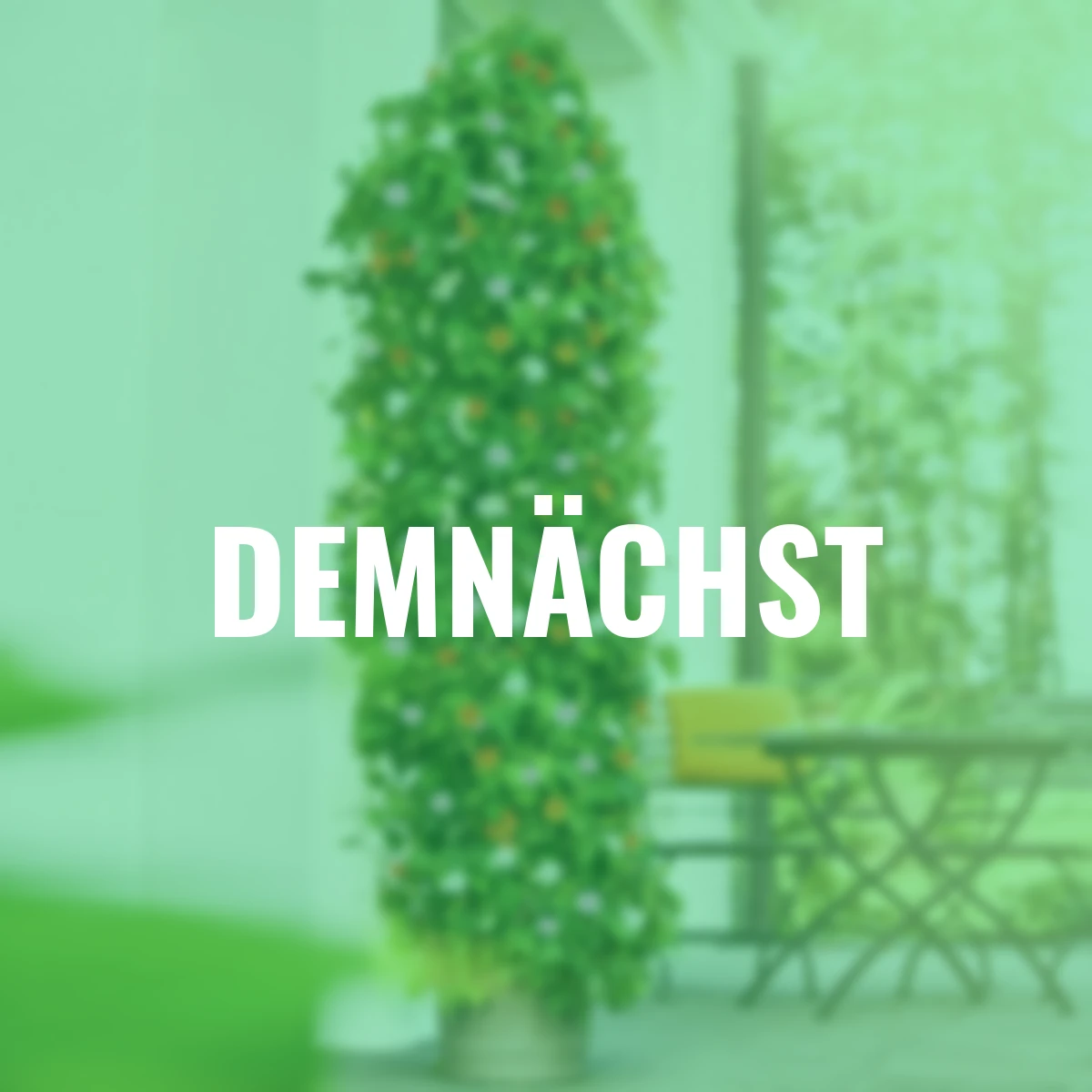 Schwarzäugige Susanne, Trio Pyramide