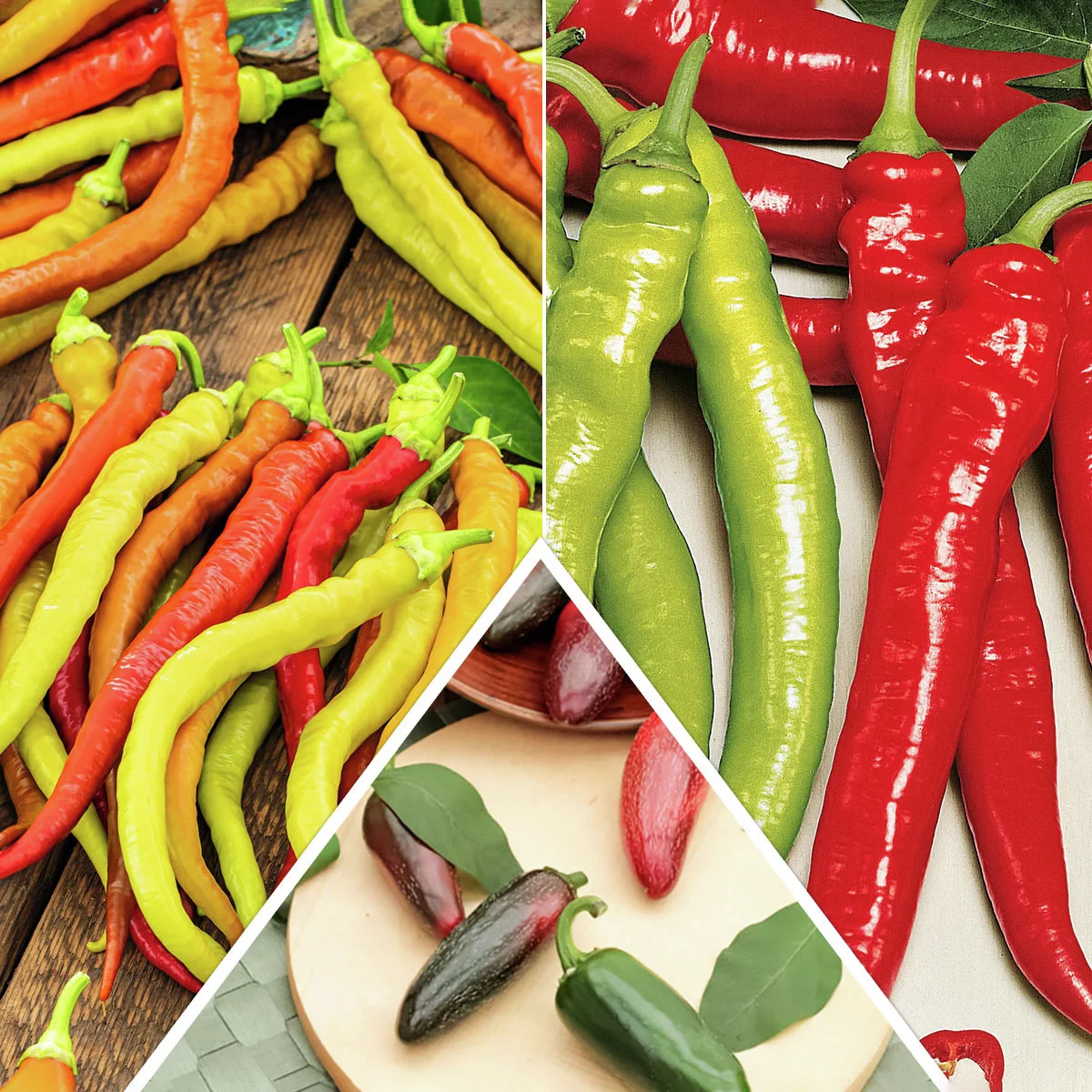 Gemüsepflanzen-Set Pepperoni-Mix