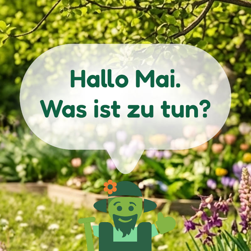 Was ist zu tun im April