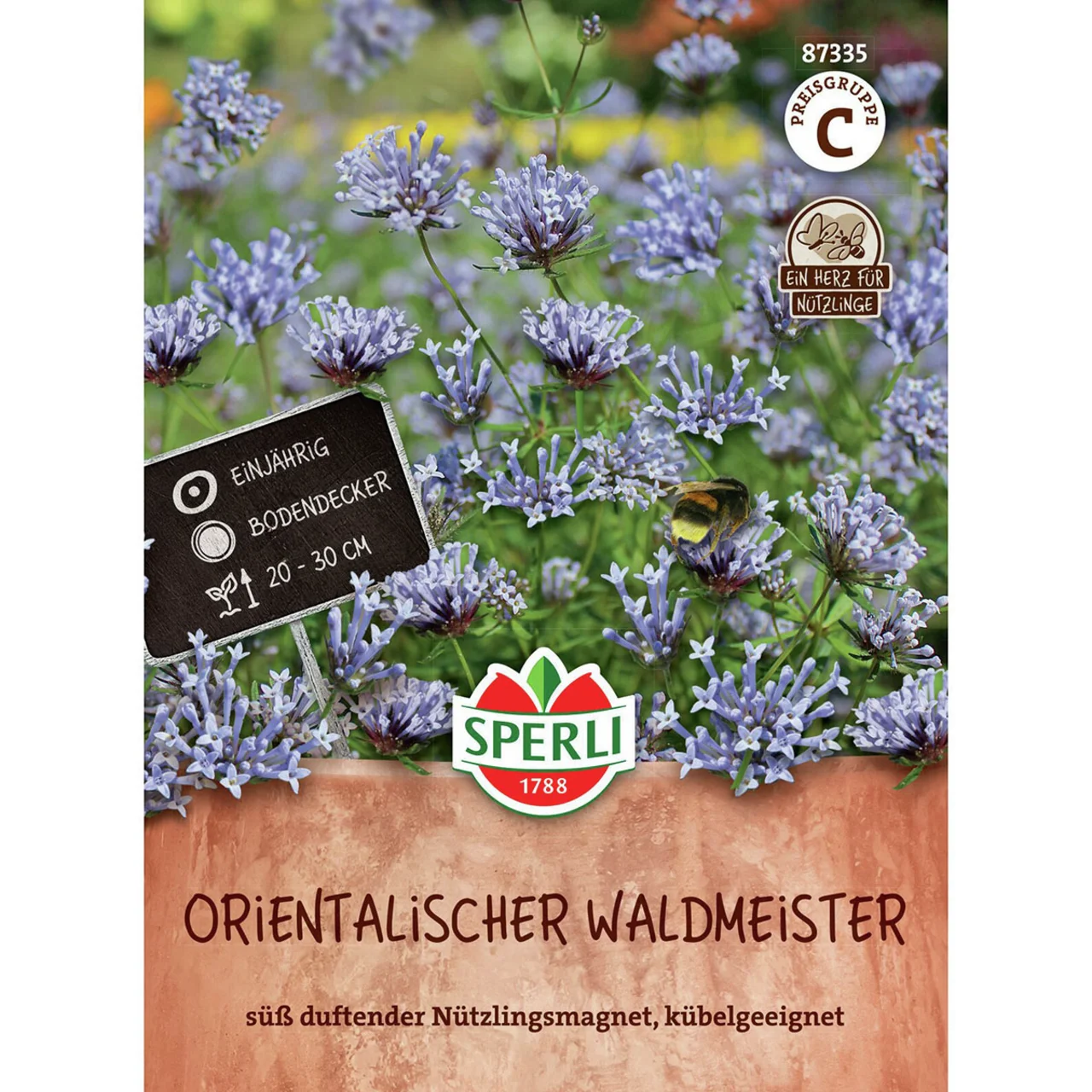 Orientalischer Waldmeistersamen