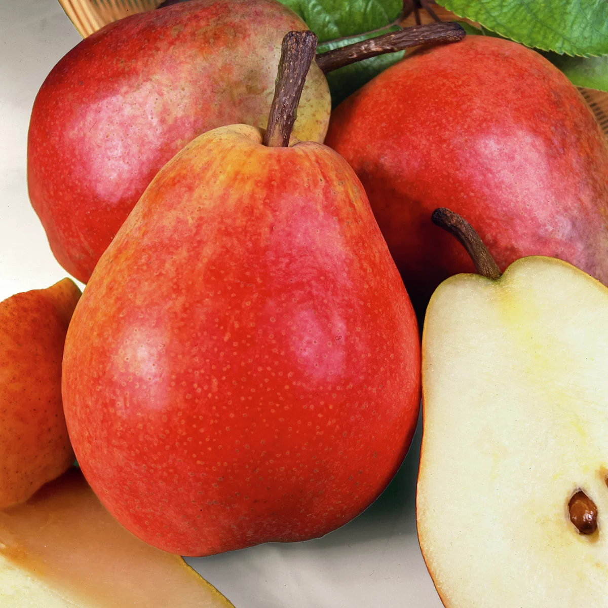 Birne Rote Williams Christ