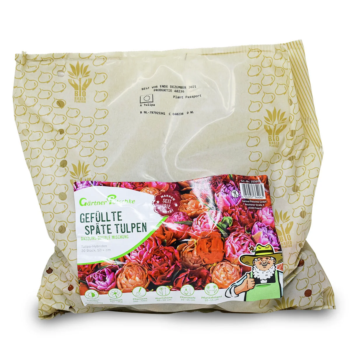 Tulpen-Set Dazzling Double