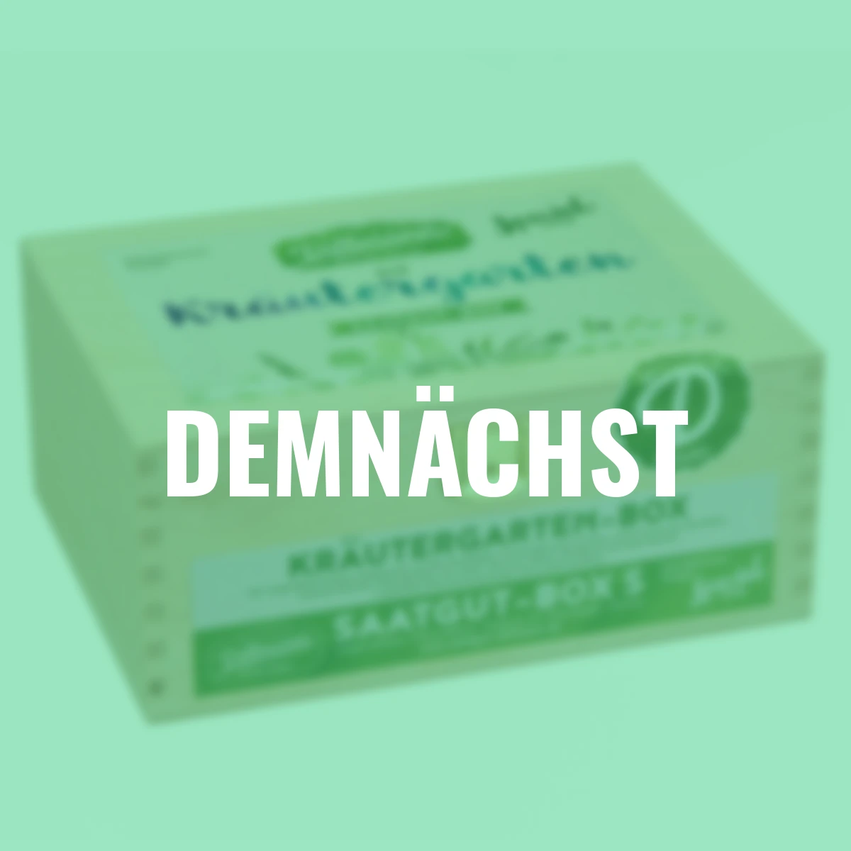 Saatgut-Holzbox Kräutergarten, 7 Saatgut-Sorten