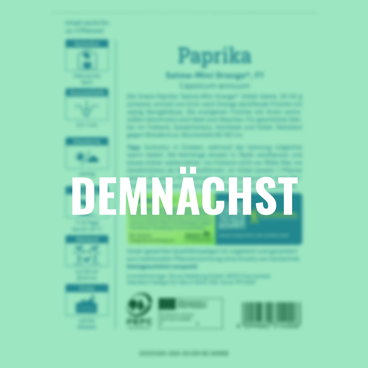 Snack-Paprika Salma-Mini Orange® PowerSaat