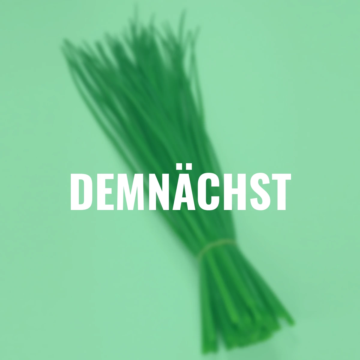 Saatgut-Holzbox Kräutergarten, 7 Saatgut-Sorten