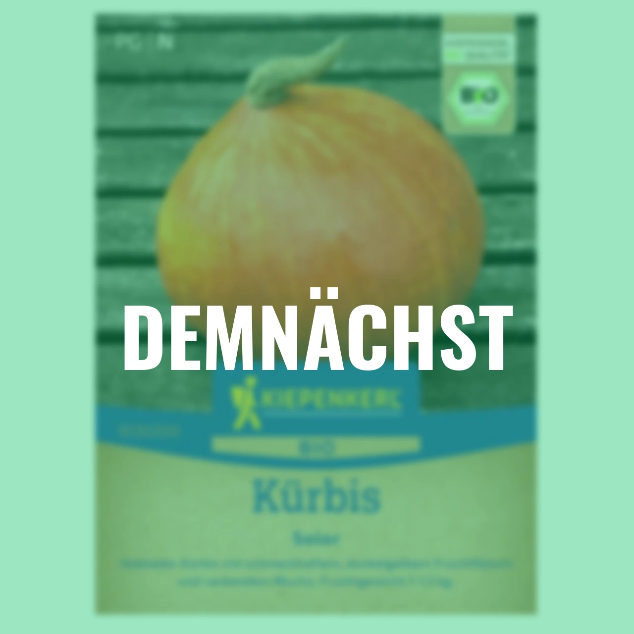 BIO Hokkaido Speisekürbissamen