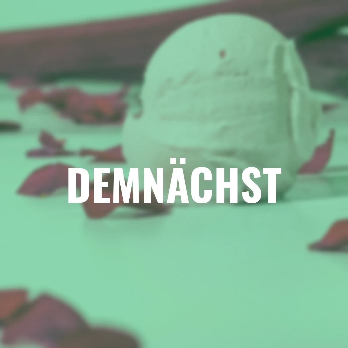 Essbare Culinaric Rose, rosa-apricot