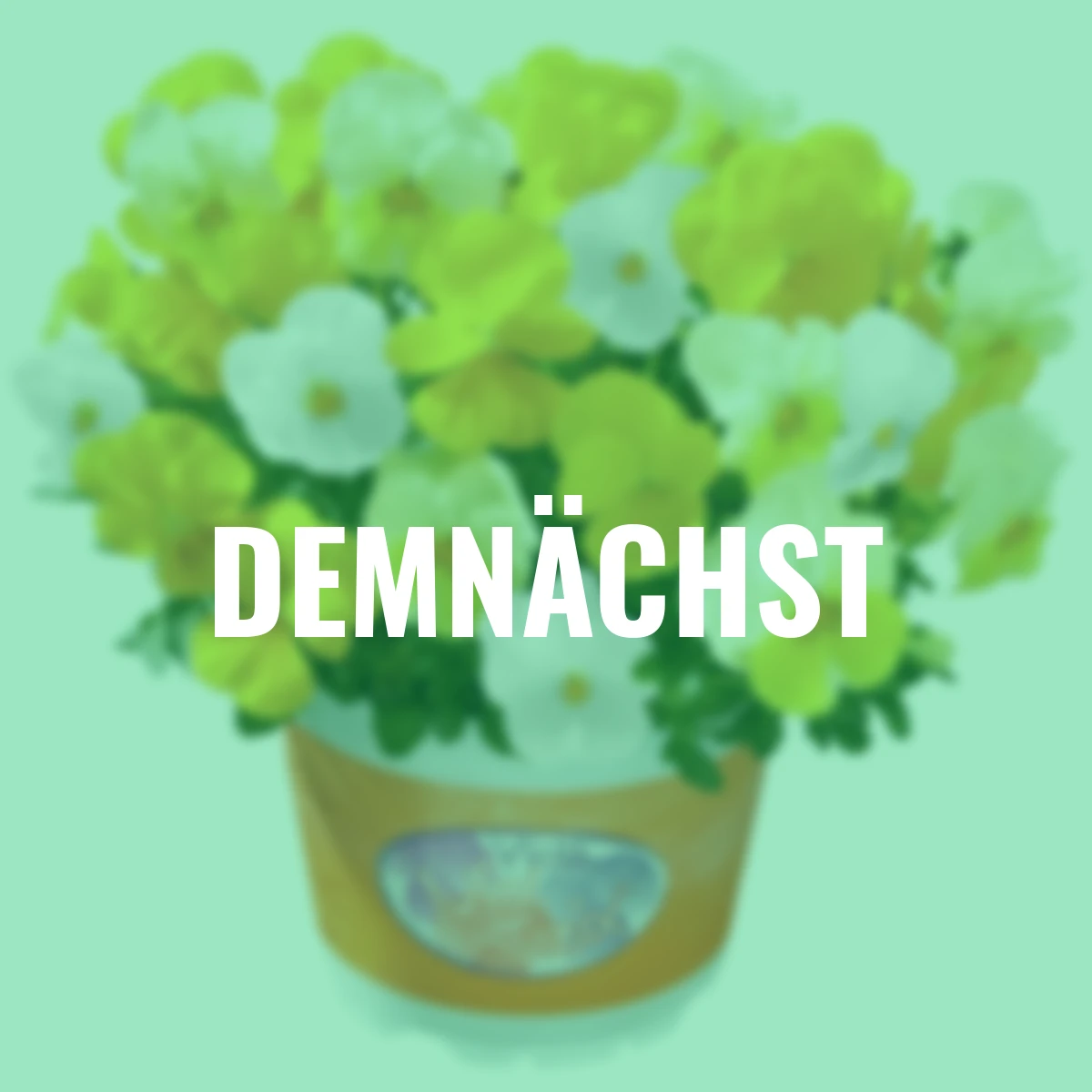 Hornveilchen Mix a Twix® Yellow, Primrose, Snow