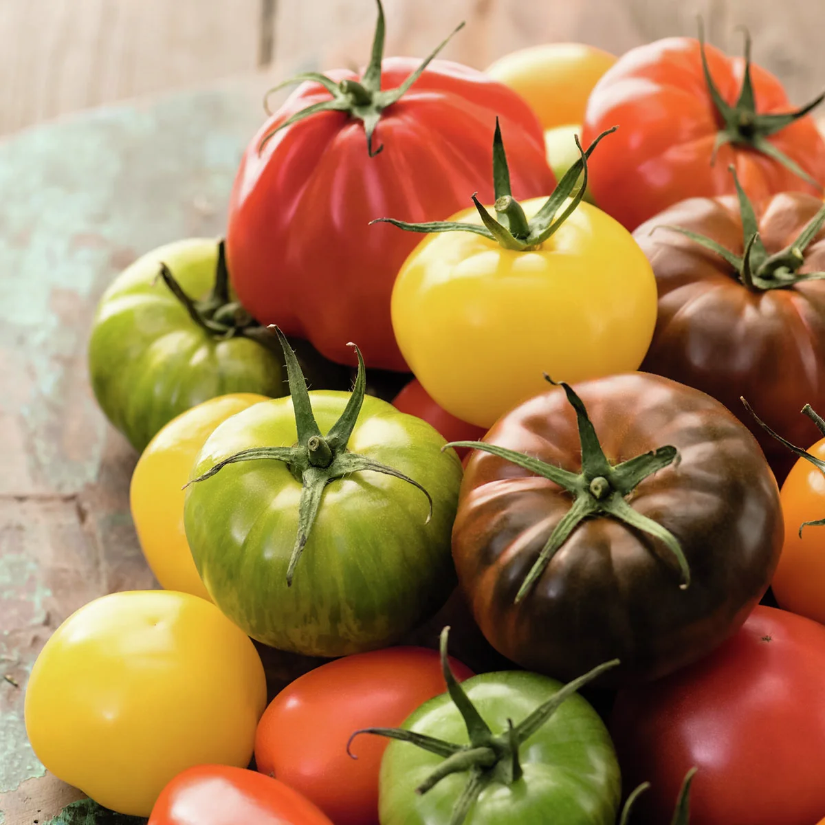  Gemüsepflanzen-Set Tomatenset 