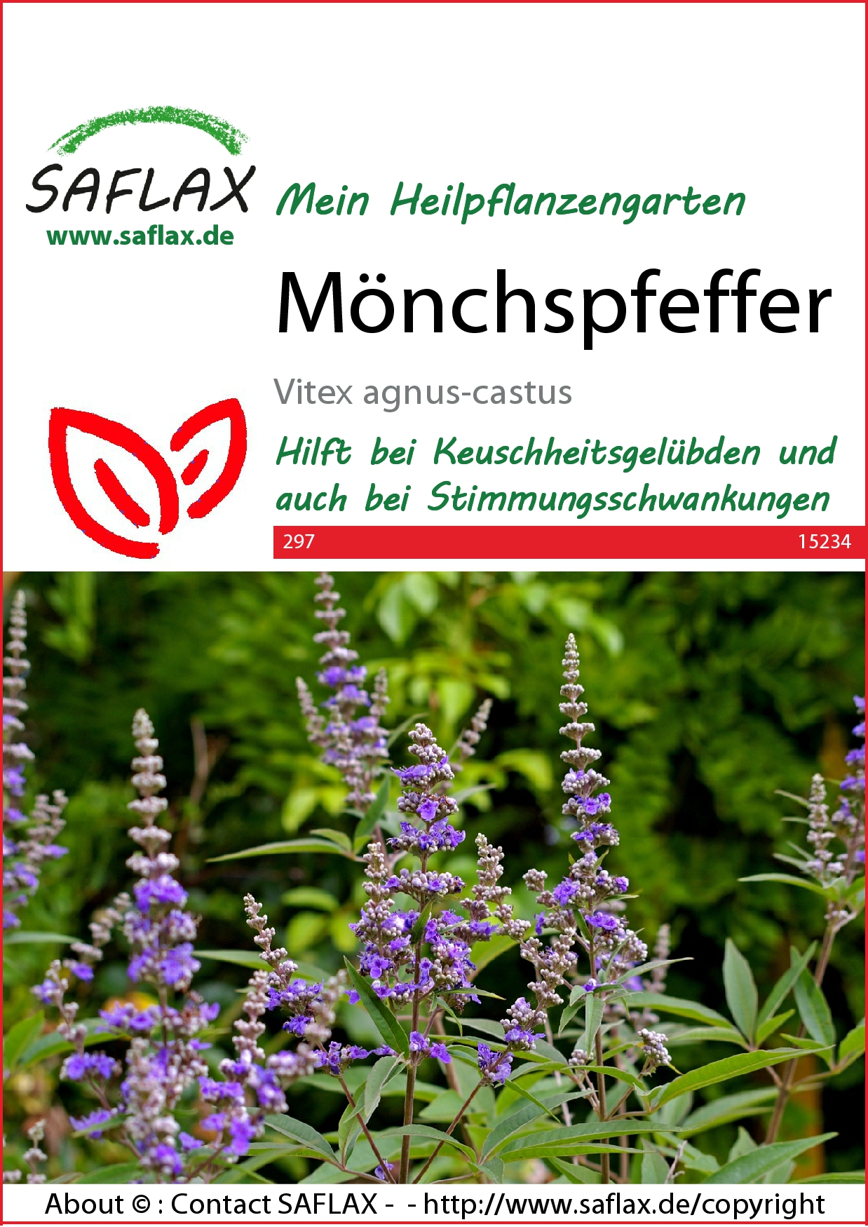 Mönchspfeffer - Samen