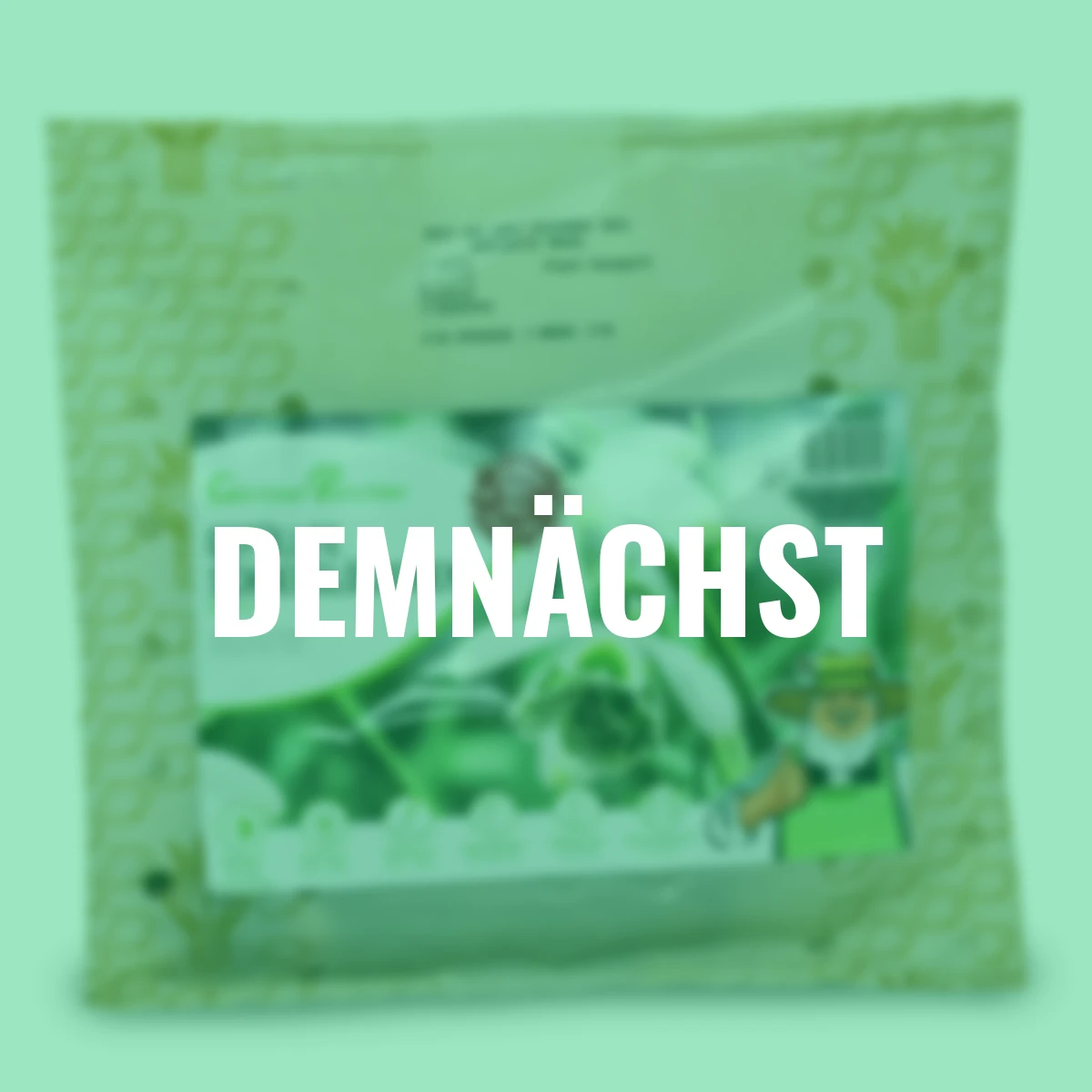 Schneeglöckchen Hippolyta, gefüllt