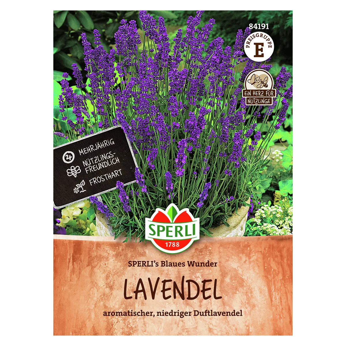 Lavendelsamen SPERLI's Blaues Wunder