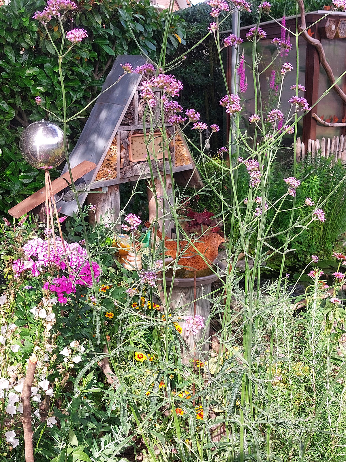 Gartenfoto von Svenja – Platz 3 beim Gärtner Harry Fotowettbewerb „Dein schönster Garten-Moment im Sommer“