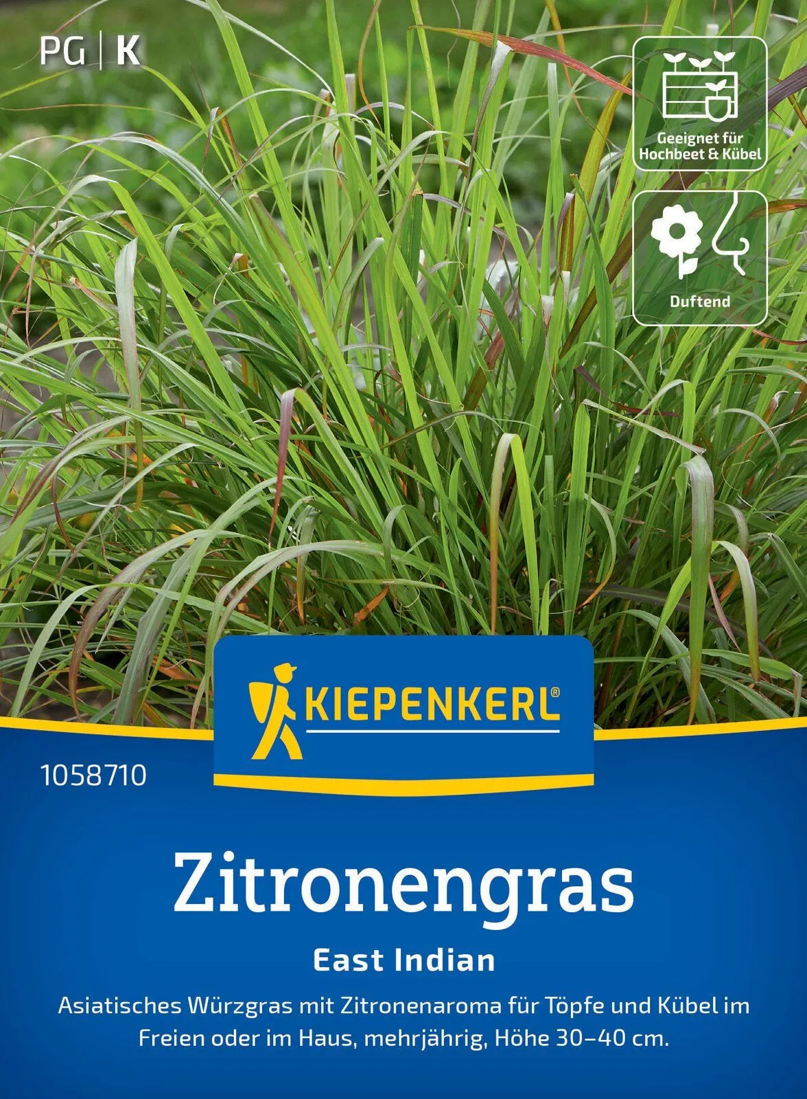 Zitronengras East Indian