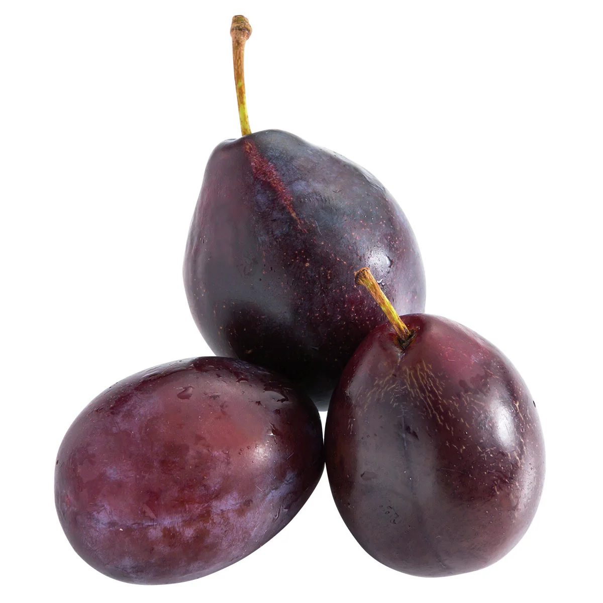 Zwergobst Pflaume Hanna