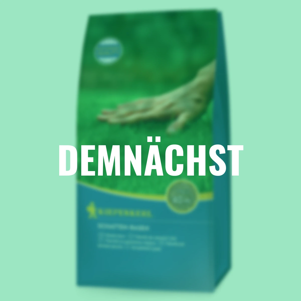 Schatten-Rasen, 1 kg