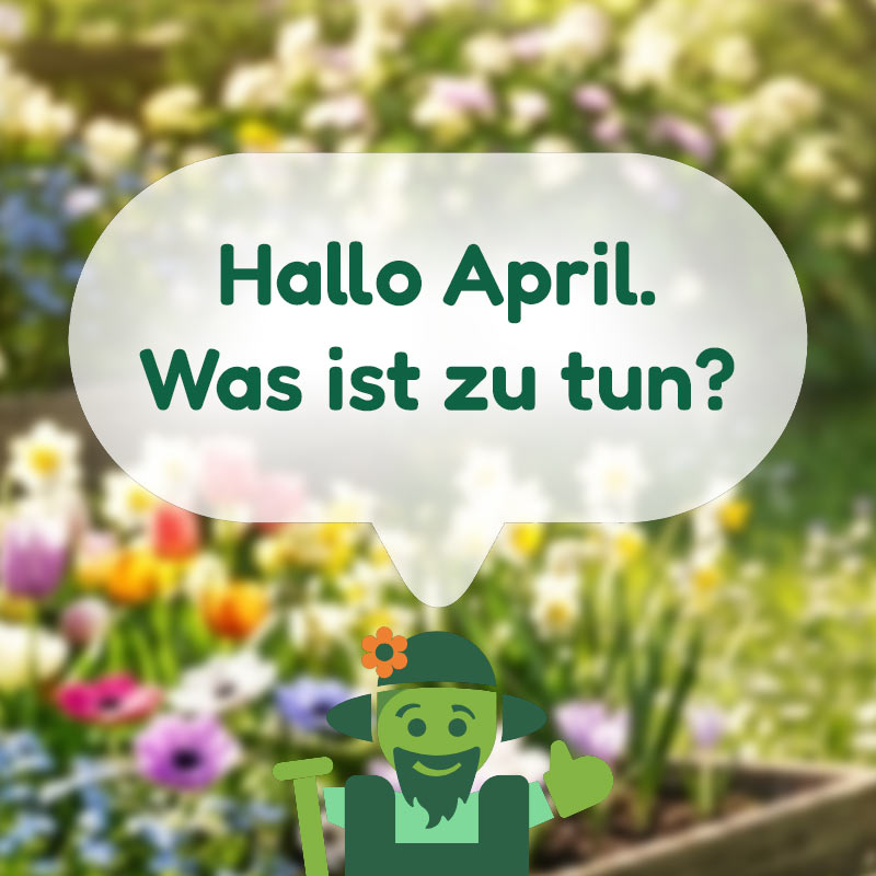 Was ist zu tun im Februar