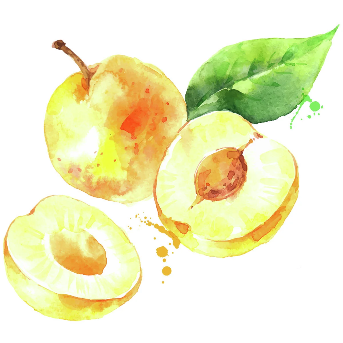 Mirabelle von Nancy, Bäumchen im ca. 28 cm-Topf